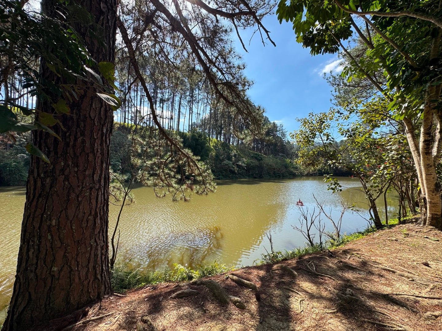 IMÓVEIS À VENDA